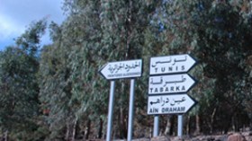 التونسيون الغاضبون غادروا ولاية تبسة إلى بلدهم