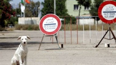 Les frontières Est de l'Algérie bien sécurisées