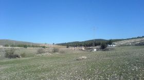 أكثر من 50 عائلة تونسية تنزح إلى الأراضي الجزائرية