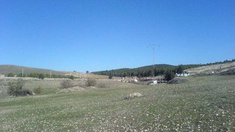 أكثر من 50 عائلة تونسية تنزح إلى الأراضي الجزائرية