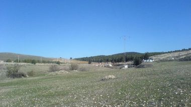 Algeria creates a land buffer on its borders with Tunisia