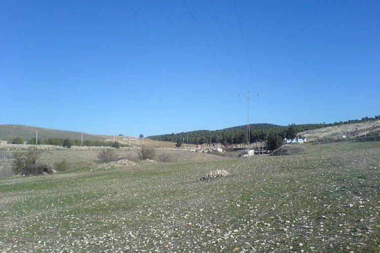 Algeria creates a land buffer on its borders with Tunisia