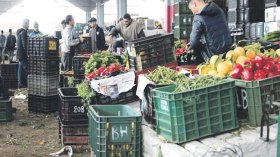 وفرة للخضر بسوق الكاليتوس.. والزراعة التقليدية سبب تذبذب الإنتاج