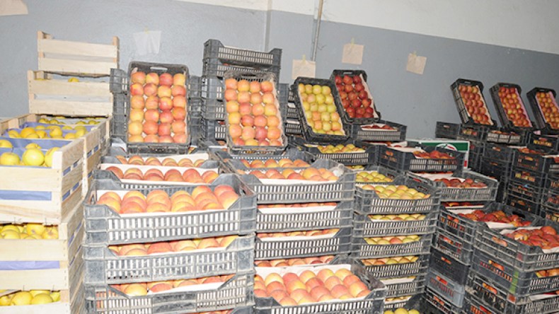 حظر استيراد الحمضيات يدخل حيز التنفيذ في 23 فيفري