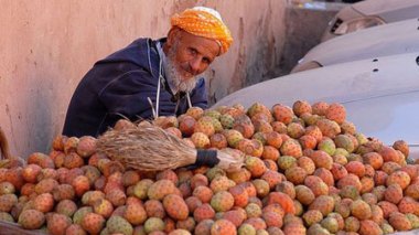La figue de Barbarie inonde les marchés de Souk Ahras