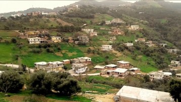 صورةٌ تحت الظل