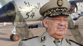 قايد صالح: قواتنا الجوية أًصبحت مقتدرة ومتطورة