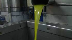 معاصر زيت الزيتون بآث لقصر مهددة بالإفلاس