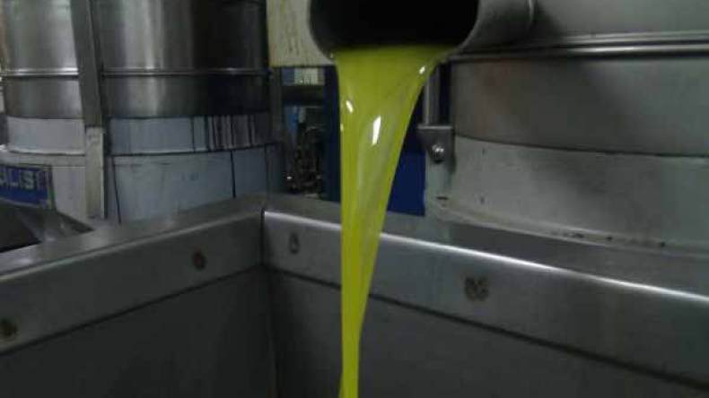 معاصر زيت الزيتون بآث لقصر مهددة بالإفلاس