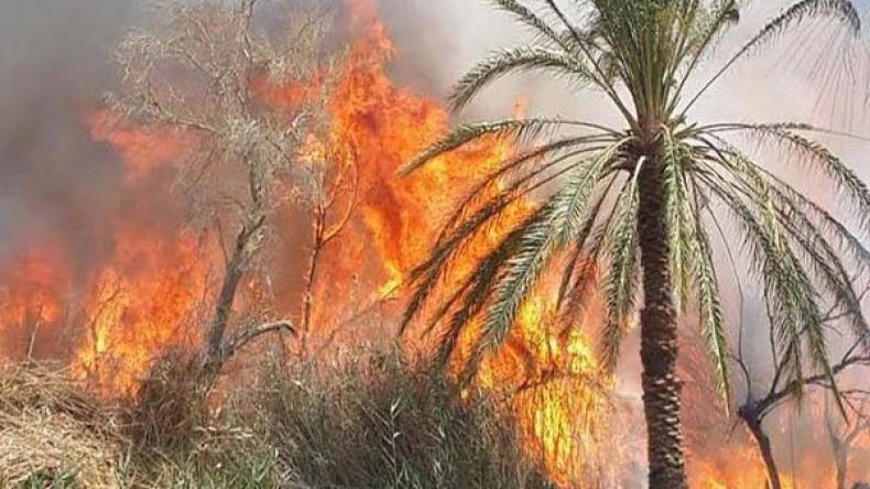 أضرار مادية معتبرة في 5 حرائق منفصلة بالوادي