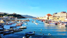 3.5مليون مصطاف زاروا الطارف ونصفهم للمرور إلى تونس