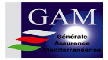Ouyahia orders to reconsider GAM sale to US Investment Corporation