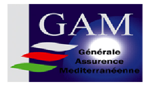 Ouyahia orders to reconsider GAM sale to US Investment Corporation