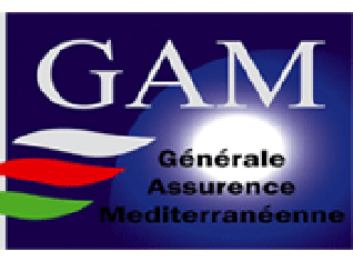 General Mediterranean Insurance GAM plans to enter stock market