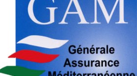 Marché des Assurances en Algérie : Un chiffre d’affaire de plus de 4 milliards de dollars.