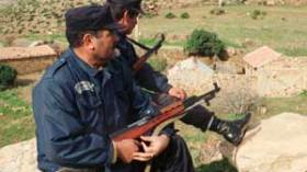 تعويضات مالية ومنح خاصة لفائدة عناصر الدفاع الذاتي