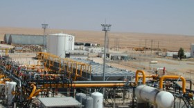 Algeria's gas reserves to enter critical stage after 2030