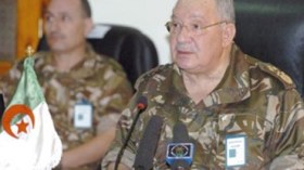 قايد صالح في دورية إلى الحدود الجنوبية