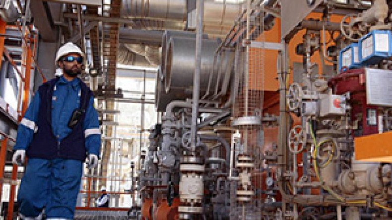 الشركات الإماراتية تبدي الاستعداد للشراكة مع نظيراتها الجزائرية في مجال الطاقة