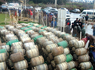 Gas and electricity  supply below expectations in Algeria