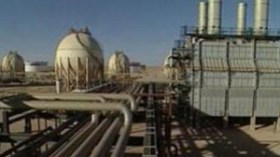 النفط ثروة زائلة وعلى الجزائر القيام بإصلاحات