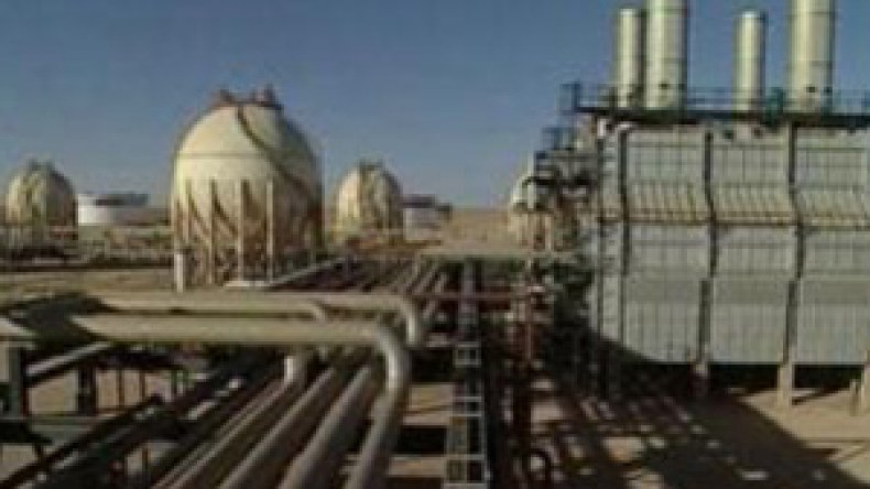 النفط ثروة زائلة وعلى الجزائر القيام بإصلاحات