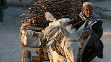 Pas de répit pour la violence contre les palestiniens