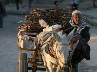 Pas de répit pour la violence contre les palestiniens