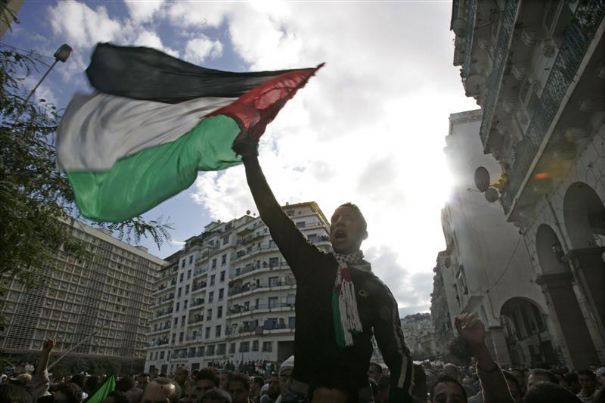 Algerian Fans to raise Palestinian flags in South Africa: Gaza will be the title of an Algerian-Israeli war during the World Cup