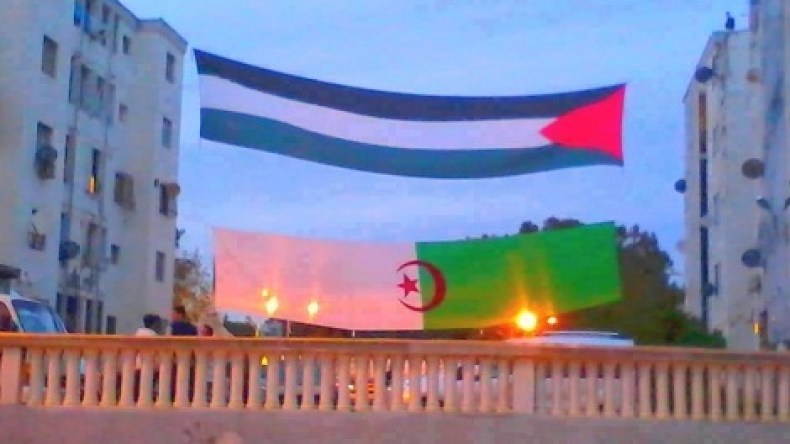 غزة تشاطر أفراح الخضر