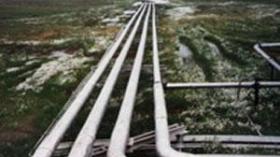 إيطاليا تطالب سوناطراك بضمانات ملموسة لاستمرار تدفق الإمدادات الغازية