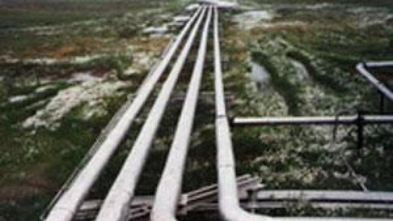 إيطاليا تطالب سوناطراك بضمانات ملموسة لاستمرار تدفق الإمدادات الغازية