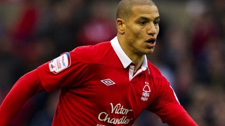 نادي بادربورن الألماني مهتم بقديورة