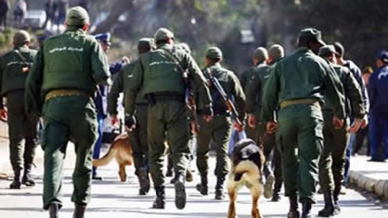 قوات الأمن تستعين بالكلاب المدربة للعثور على جثة “غوردال”