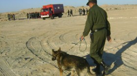 حجز 3 قناطير من الأسمدة الأزوتية، 17 سلاحا ناريا و541 قنطار من النفايات النحاسية