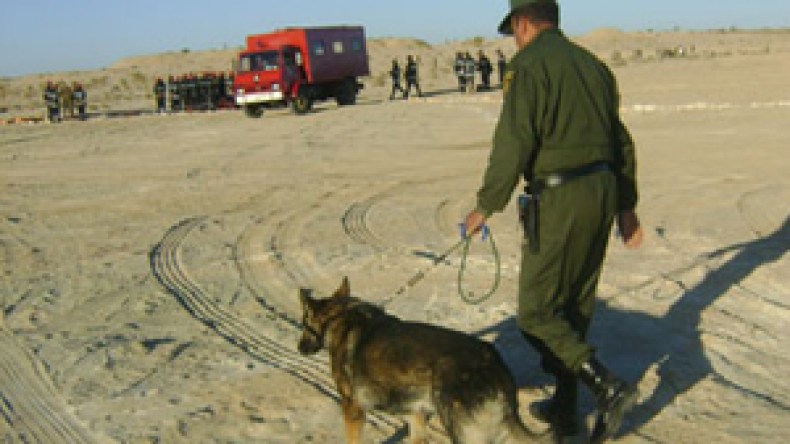 حجز 3 قناطير من الأسمدة الأزوتية، 17 سلاحا ناريا و541 قنطار من النفايات النحاسية