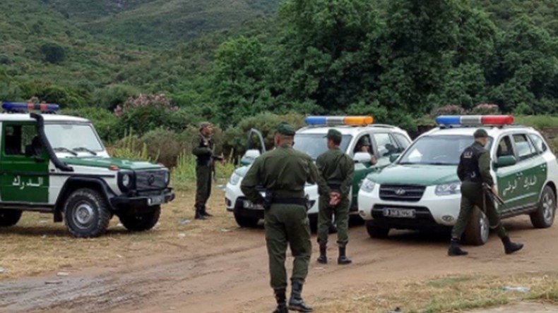 مسلحون يحاولون ذبح شاب ويسرقون 92 رأسا من الأغنام بقالمة