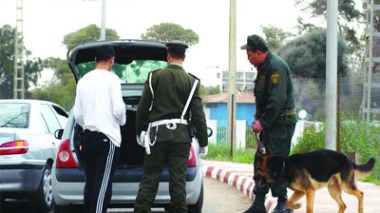 Oran: une mineure dirige une bande de malfaiteurs