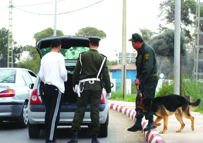 Oran: une mineure dirige une bande de malfaiteurs