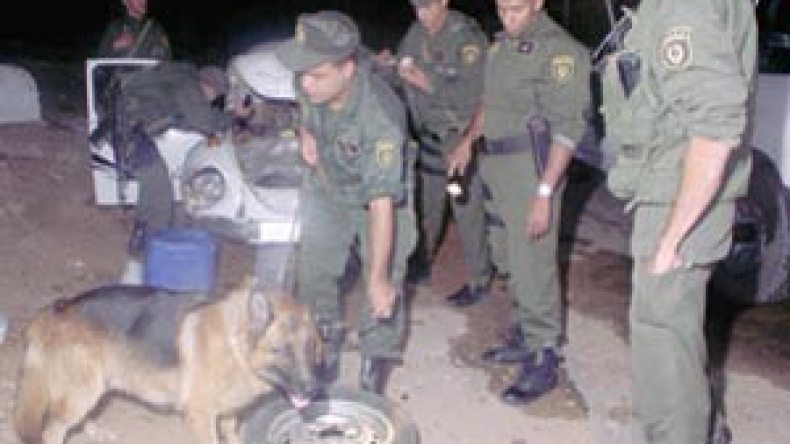 تسجيل 3705 جريمة منظمة خلال أربعة أشهر