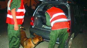 إجهاض ثالث عملية لتهريب النحاس إلى إسرائيل بتبسة