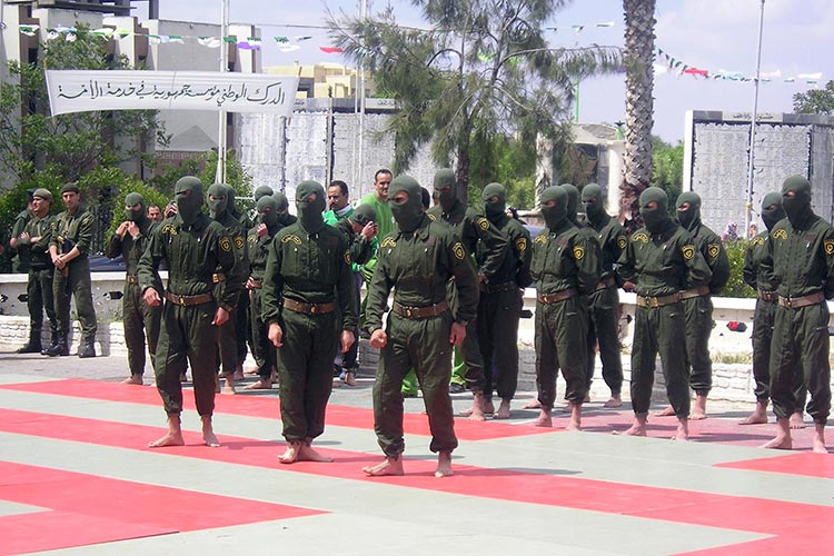 National Gendarmerie: Four-Year Training versus Officer Rank for LMD Graduates