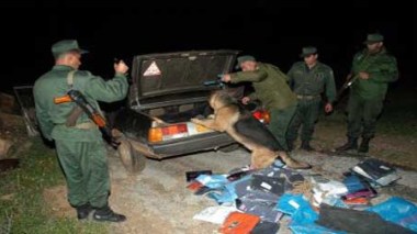 Contrebande transfrontalière : interception de 11 contrebandiers marocains ayant pénétré illégalement en Algérie