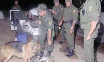 Enquête sur le marché informel du ciment : les gains des spéculateurs dépassent 5 mille milliards/an