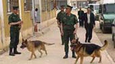 Algeria / Close coordination between High Commands of 2 military regions to ramp up counter â€“ terrorism struggle.