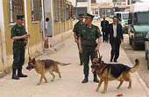 Algeria / Close coordination between High Commands of 2 military regions to ramp up counter â€“ terrorism struggle.