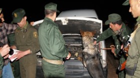 رشاوى بالملايين لتزوير وثائق سيارات مسروقة من فرنسا والمغرب