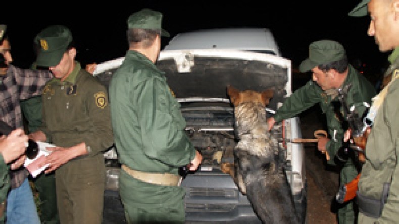رشاوى بالملايين لتزوير وثائق سيارات مسروقة من فرنسا والمغرب