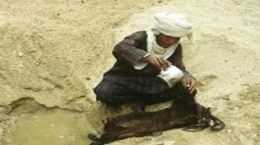 L’eau de la “guerba” toujours prisée à Tissemsilt
