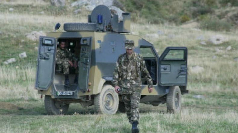 الجيش يدمر مخبأين للإرهابيين ويسترجع أسلحة بسكيكدة